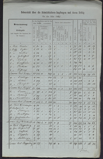 Übersicht über die Schutzblattern-Impfungen und deren Erfolg für das Jahr 1865